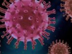 virus-4937553_640