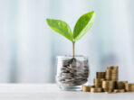 istockphoto-2175808388-612x612