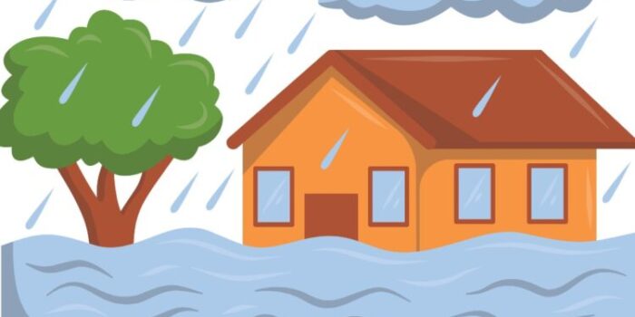 c1_20251029_12162745-750x500