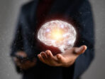 istockphoto-2154068341-612x612