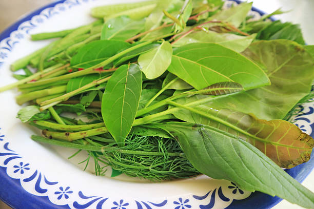 istockphoto-2245833797-612x612