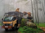 Taman-Safari-Prigen-Jawa-Timur-750x500