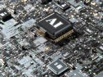 igor-omilaev-eGGFZ5X2LnA-unsplash (1)_11zon